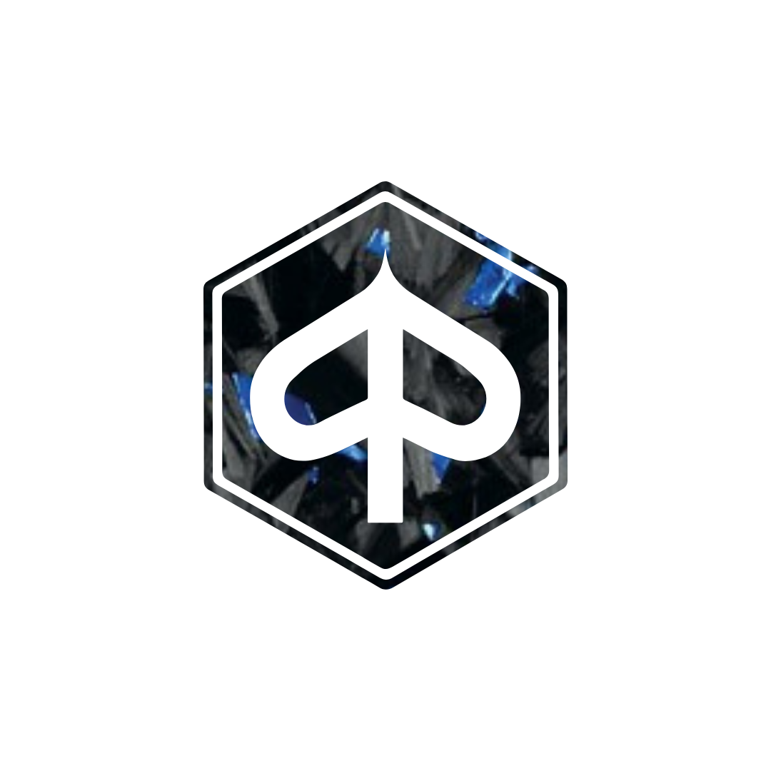 3D Pre -Chap Logo Piaggio Forged Carbon