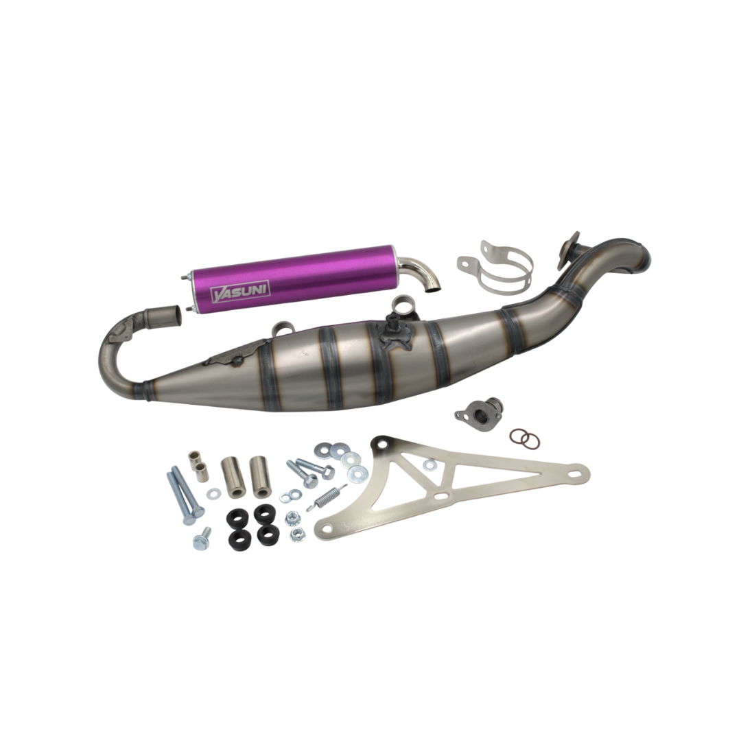 Yasuni r exhache piaggio zip 2 accident vasculaire cérébral violet violet