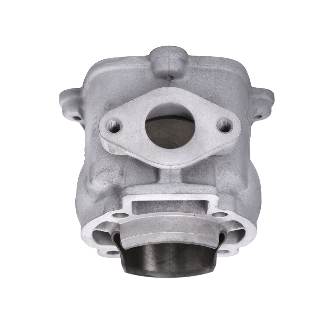 Cilindro Malossi 172cc con Testa Piaggio 125/180cc 2 Tempi Raffreddato ad Acqua