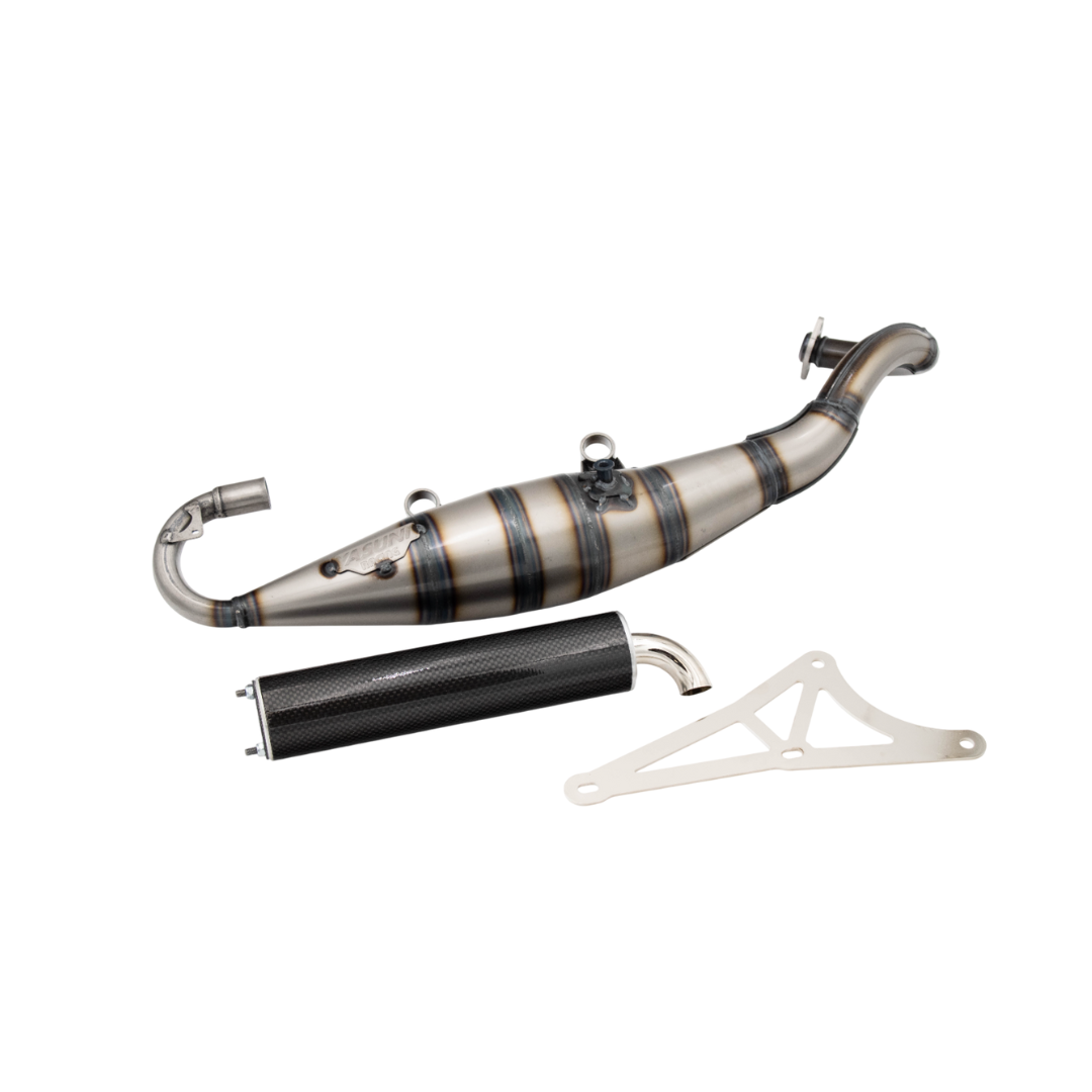 Yasuni r Piaggio Zip 2 stroke carbon