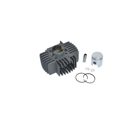 Cilinder Metrakit + Zuiger (Vernieuwde Zuiger) 43.5Mm Past Op Maxi