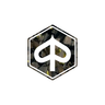 3d pré-chap logo piaggio carbone forgé