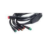 Cablaggio completo vecchio modello V8 Fatbike