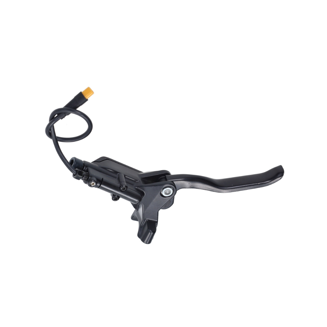 Leva Freno + Pompa Idraulica Spina Triangolare 3 Poli Sinistra V20 Fatbike