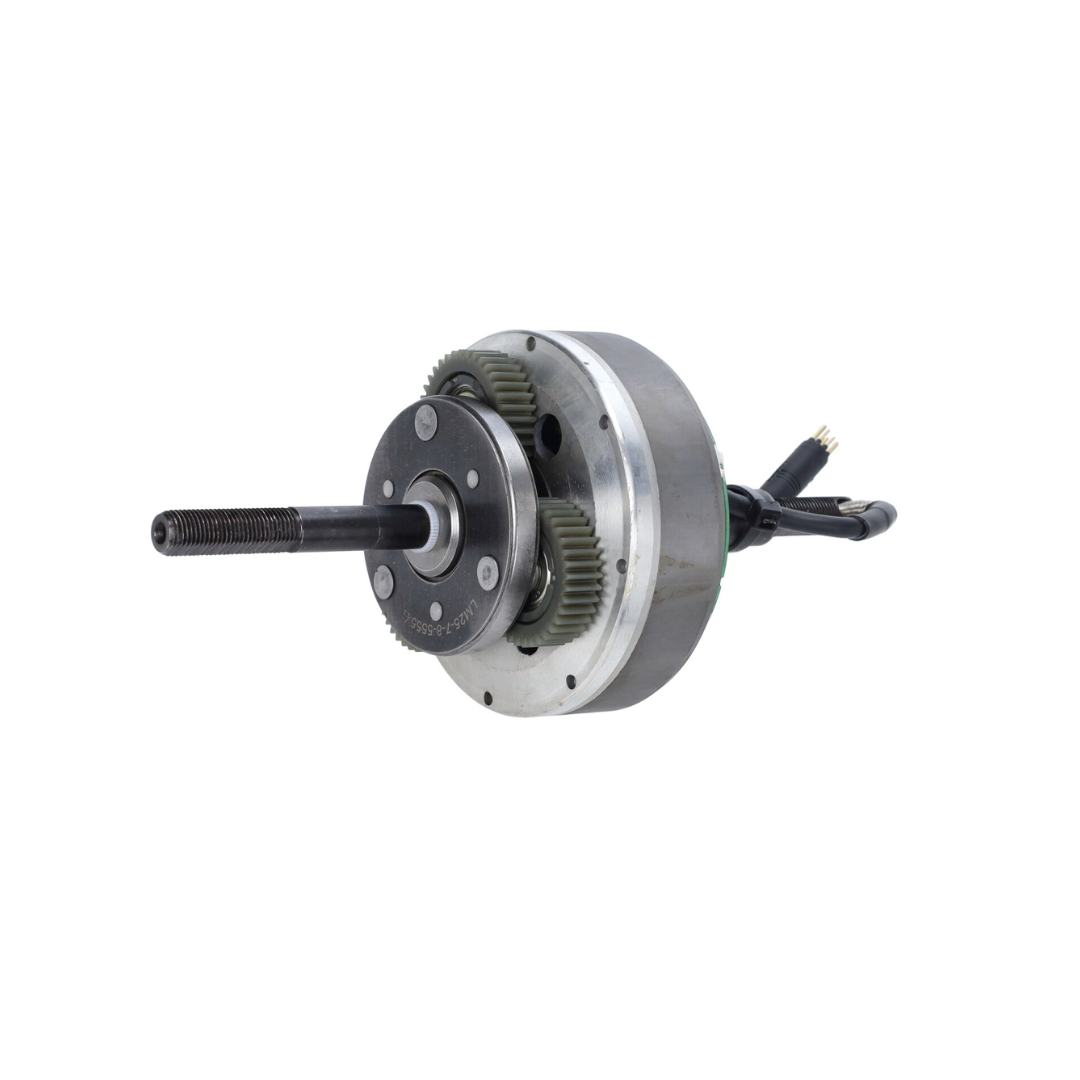 Motore ruota posteriore interni 16 pollici 36 V 250 W spina nera V8 Mini Fatbike