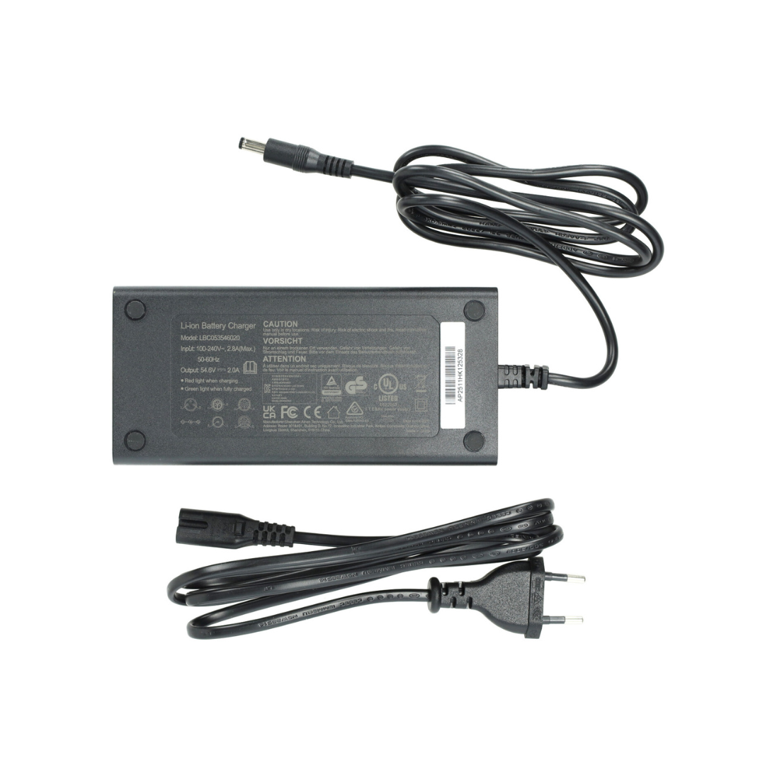 Caricabatterie 54,6V 2A DC 5.5/2.1 V8 / V20 Fatbike