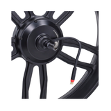 Ruota posteriore Nera + Motore 20 pollici 48V 250W Spina Rossa V8 / V20 Fatbike