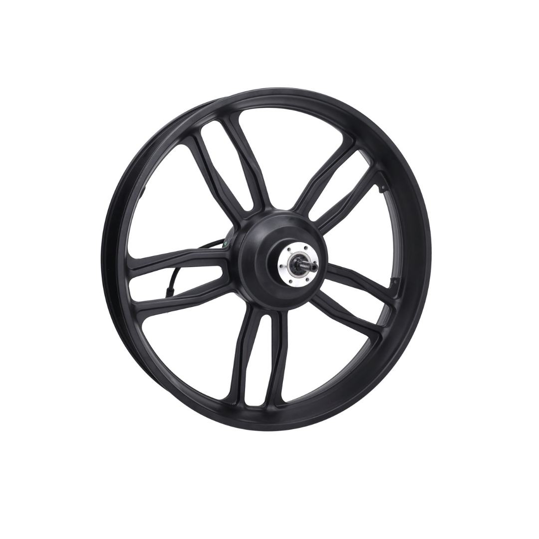 Ruota posteriore Nera + Motore 20 pollici 48V 250W Spina Nera V8 / V20 Fatbike