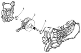Vespa LX 50 4T – Crankshaft