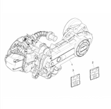Vespa Sprint 50 25 kmh E5 2020 – Engine Complete