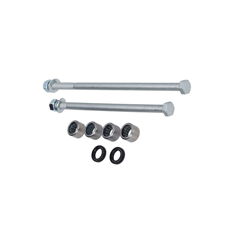Set bulloni Sottotelaio + Cuscinetti a rullini Piaggio Zip 4 Tempi