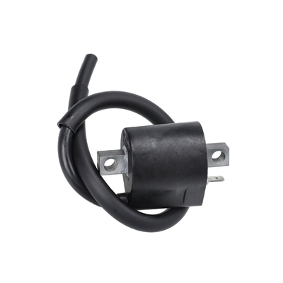 Bobine Polini Derbi Senda / Piaggio 2 Takt / Minarelli Horizontaal + Verticaal