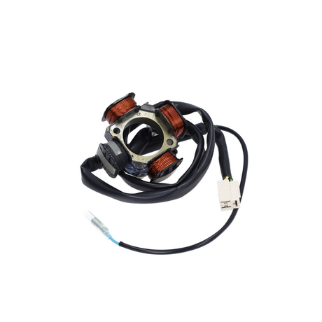 Accensione Polini Race Piaggio / Gilera 125-180cc 2 Tempi Raffreddato a Liquido