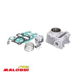 Malossi Cilinder 80Cc Iget E4 En E5 4 Takt