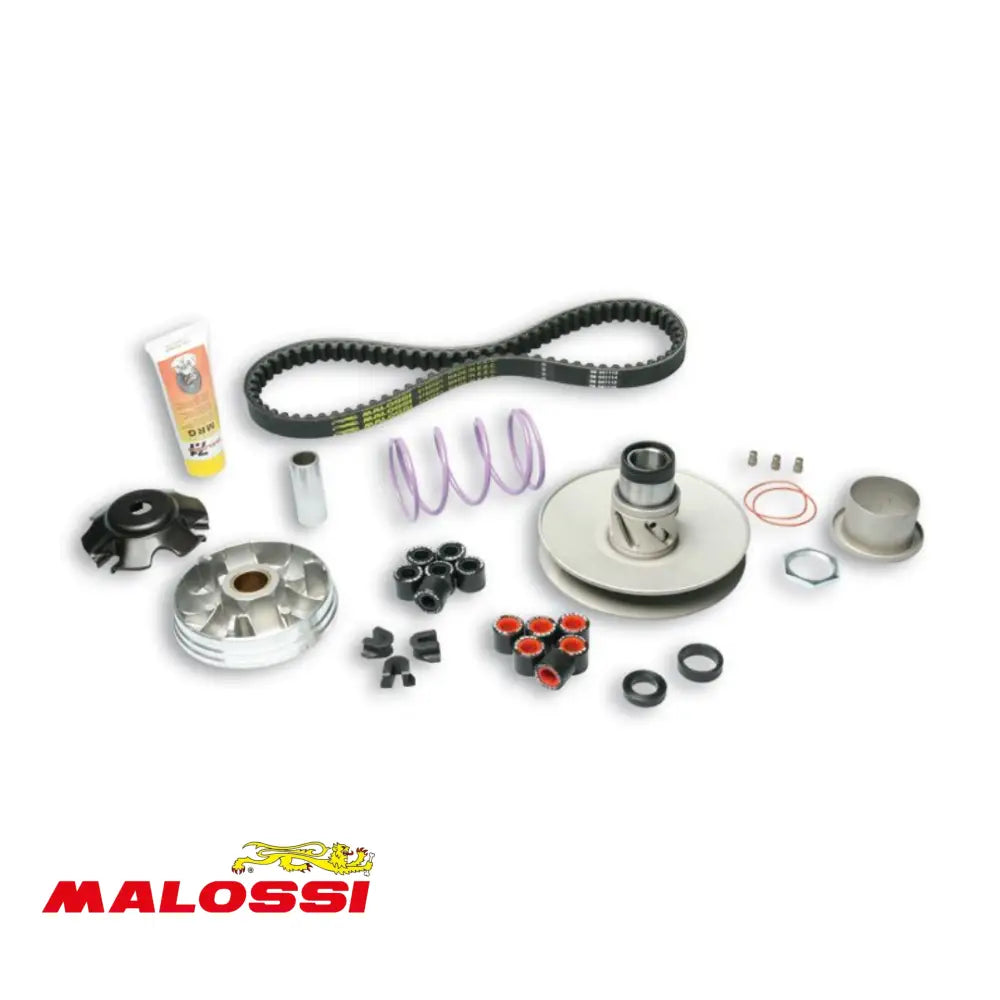 Malossi Overrange Systeem Gilera/Piaggio Lang Carter Set