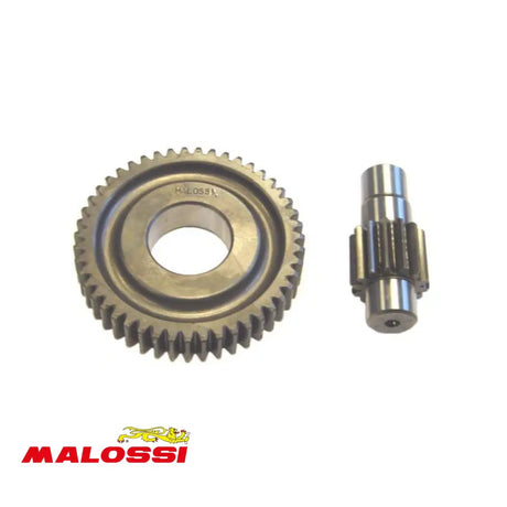 Malossi Vertanding Secundair 14/47T Piaggio Zip 2 Takt Vertanding Malossi